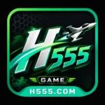 h555 game